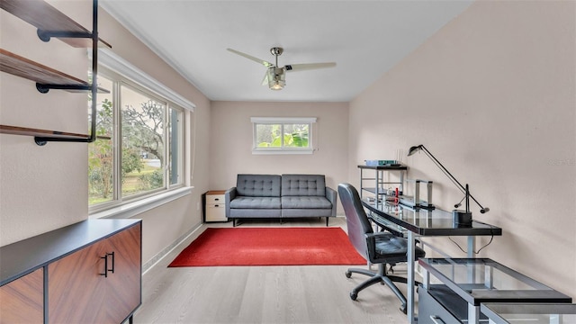 office with ceiling fan and light hardwood / wood-style flooring