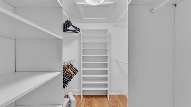 spacious closet featuring hardwood / wood-style floors