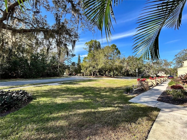 view of property's community featuring a lawn