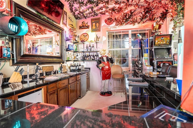 bar with stainless steel dishwasher