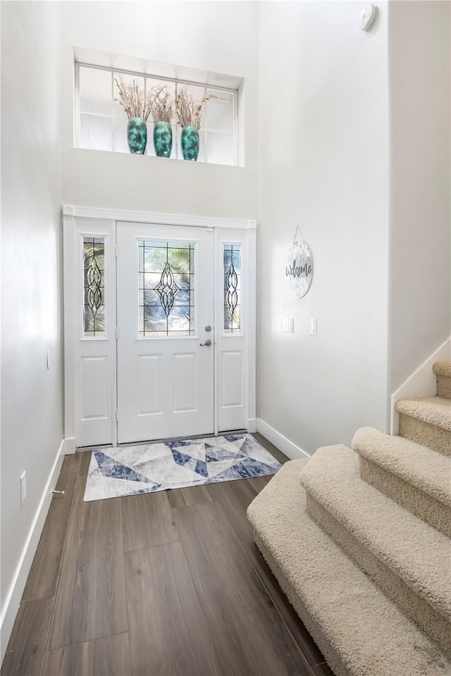 entryway featuring dark wood-type flooring and a high ceiling