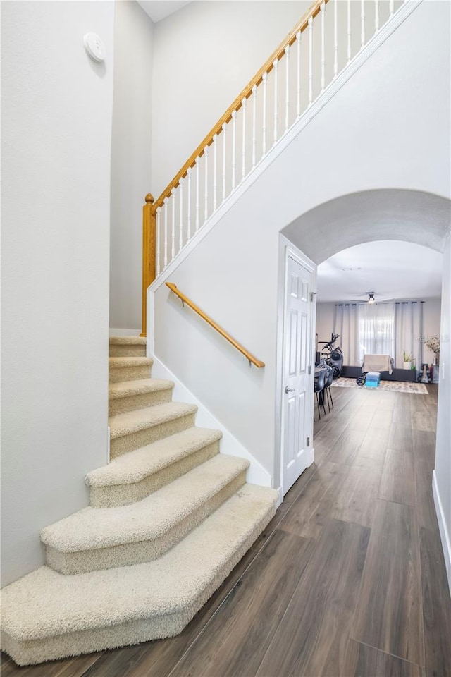 stairway featuring hardwood / wood-style floors