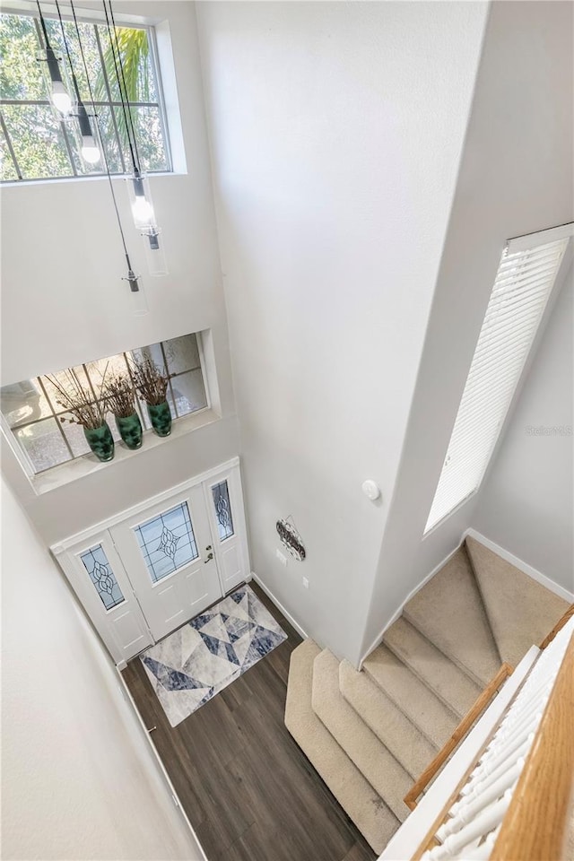 entryway featuring a high ceiling and hardwood / wood-style flooring