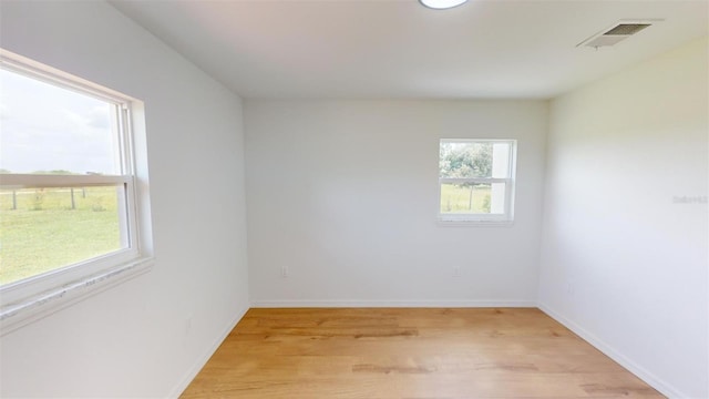 empty room featuring a wealth of natural light and light hardwood / wood-style flooring