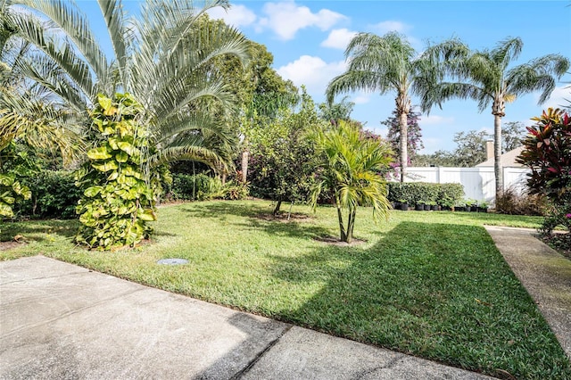 view of yard with a patio area