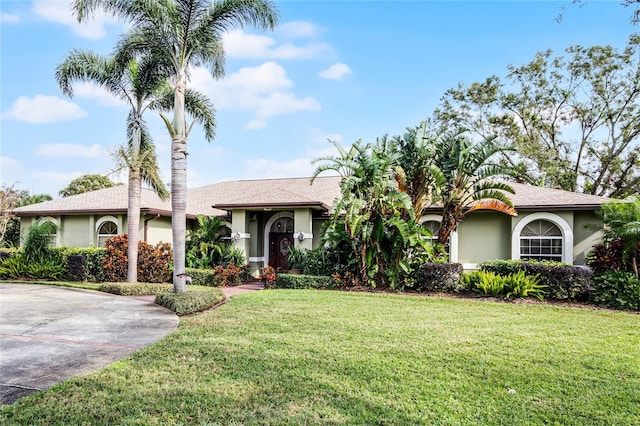 ranch-style house with a front yard