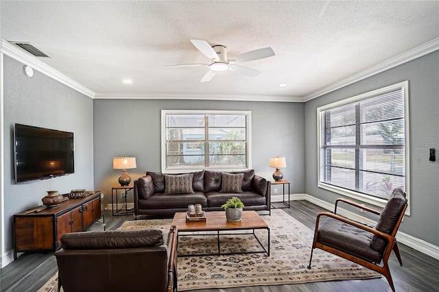 living room featuring a textured ceiling, ceiling fan, wood-type flooring, and ornamental molding