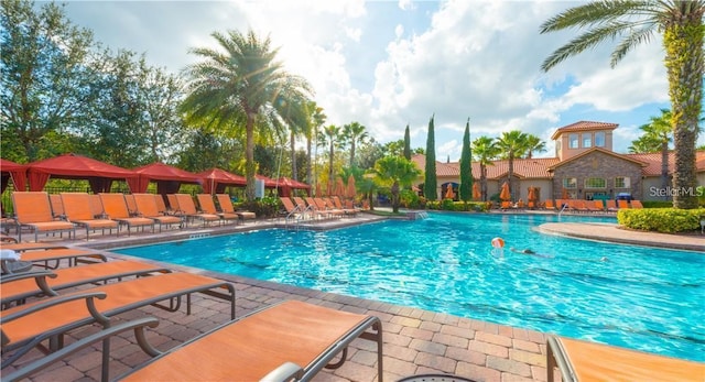 view of swimming pool with a patio area