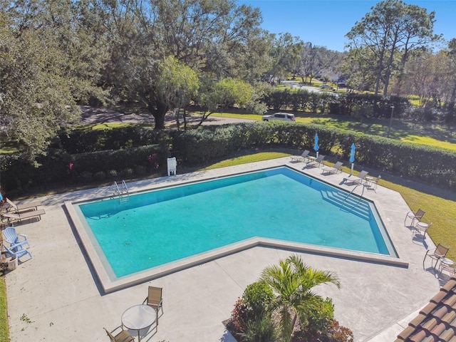 view of pool featuring a patio