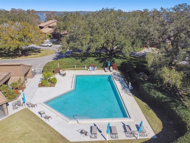 view of swimming pool featuring a yard and a patio