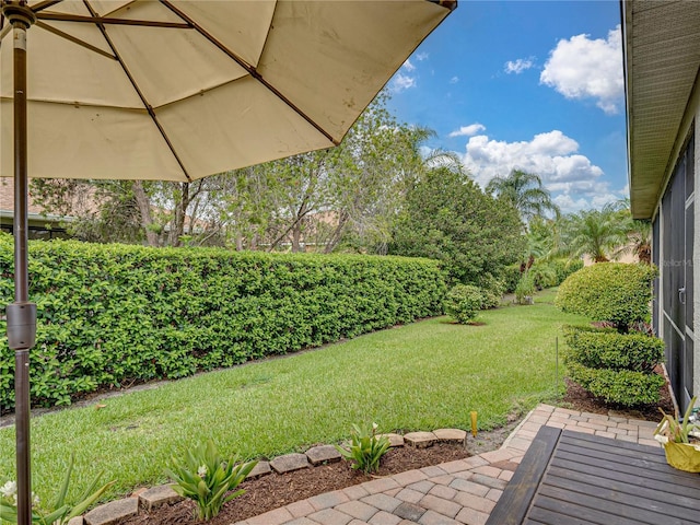 view of yard featuring a patio area