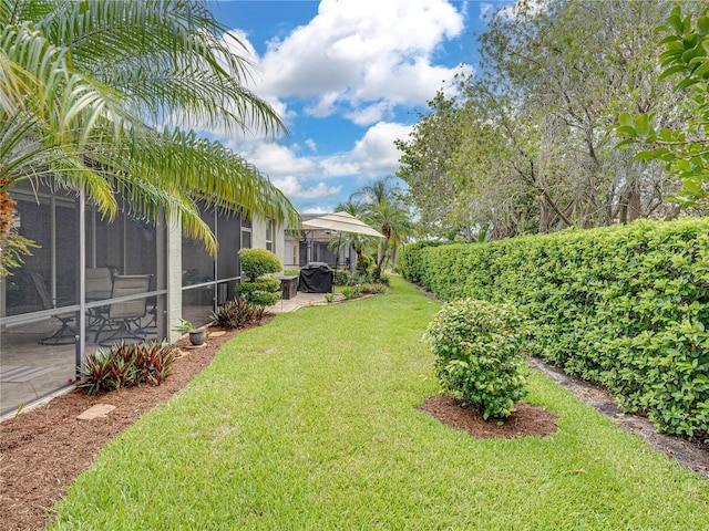 view of yard with a patio area