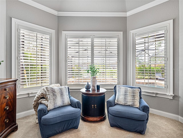 living area featuring crown molding and light carpet