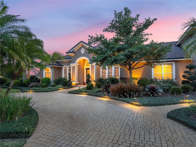 view of front of house with decorative driveway and stucco siding