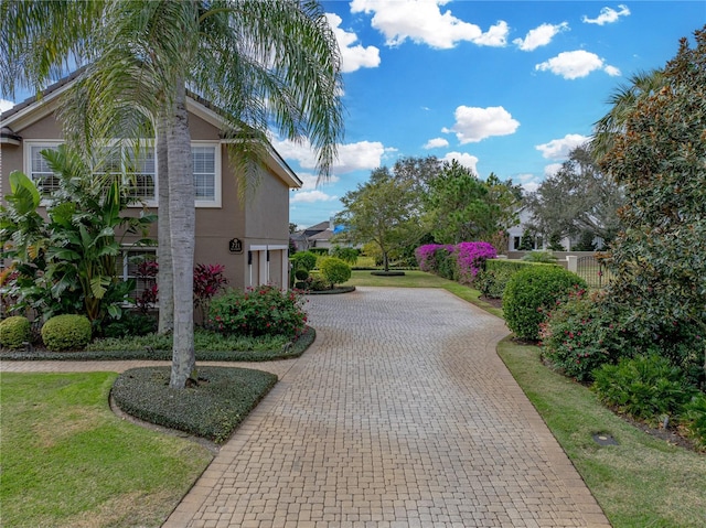 view of community featuring decorative driveway