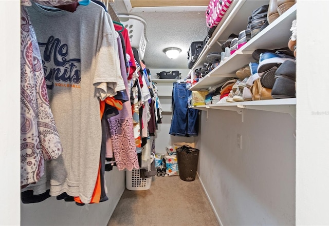 spacious closet featuring carpet