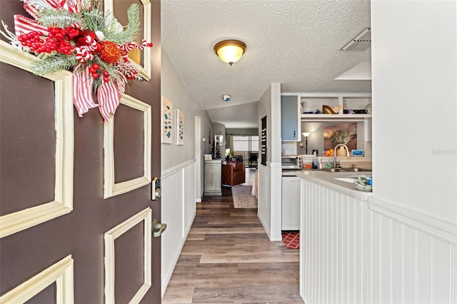 foyer entrance with sink, hardwood / wood-style floors, and a textured ceiling