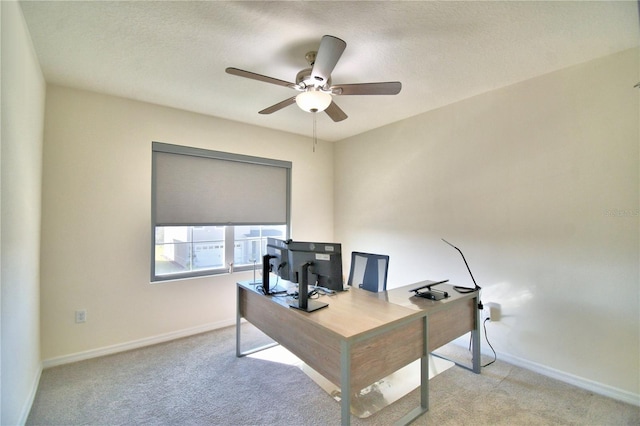 office space with light colored carpet