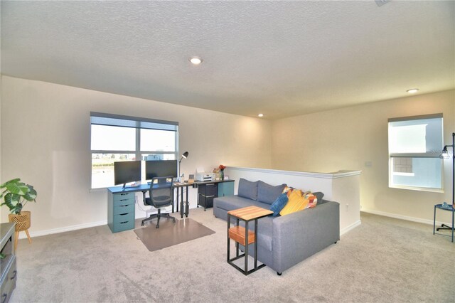 carpeted living room with a textured ceiling