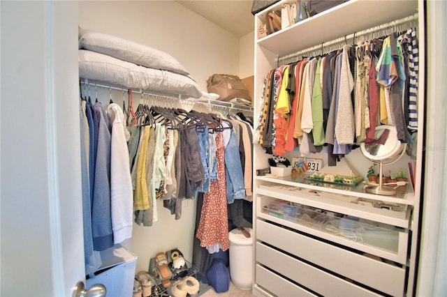 view of spacious closet