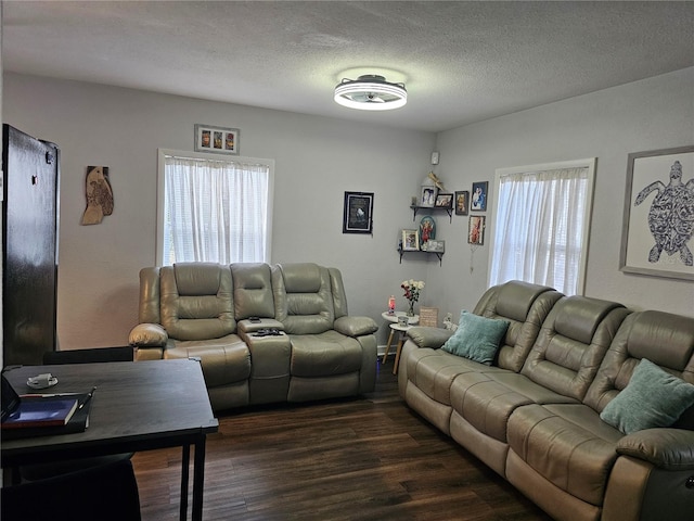 living room featuring dark hardwood / wood-style flooring and a textured ceiling