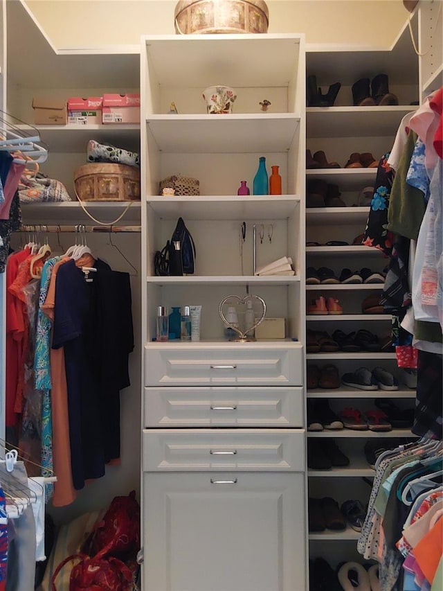 view of spacious closet