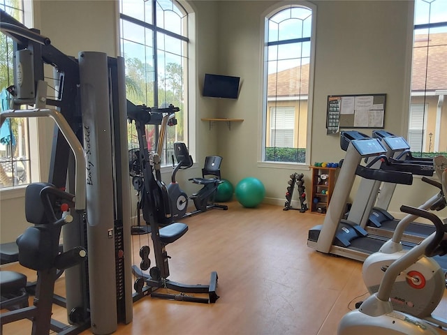 gym with hardwood / wood-style floors and a wealth of natural light