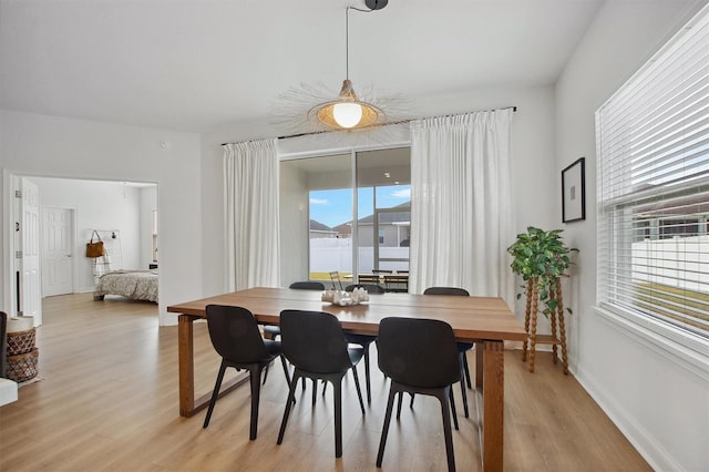 dining area featuring light hardwood / wood-style floors