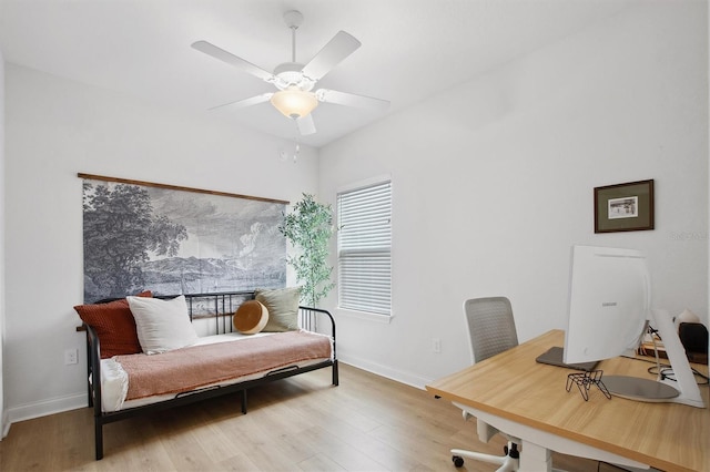 office featuring ceiling fan and light wood-type flooring