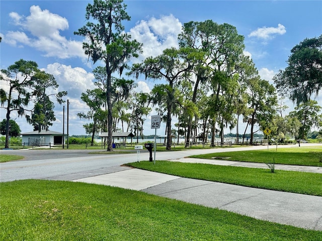 view of property's community featuring a yard