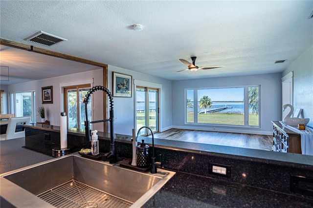 kitchen with sink, hardwood / wood-style floors, plenty of natural light, and a textured ceiling