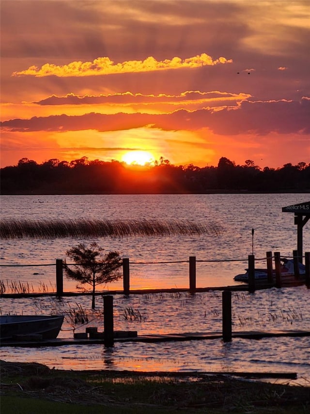 dock area with a water view