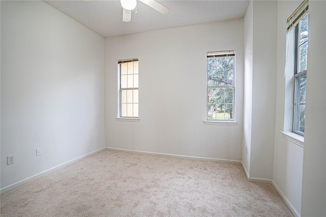 empty room with a wealth of natural light and light carpet