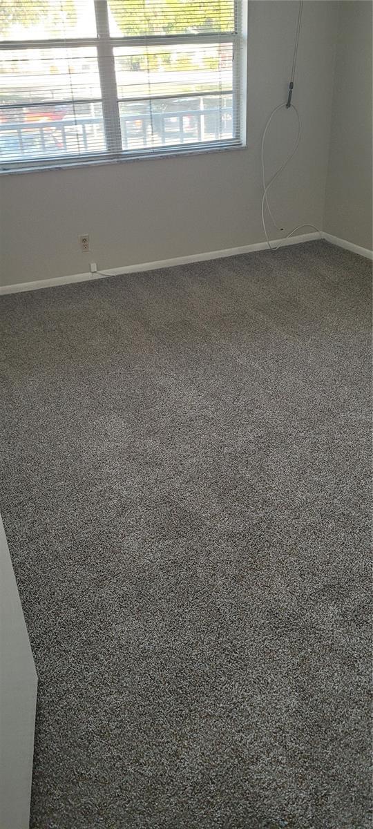 carpeted empty room featuring a wealth of natural light and baseboards