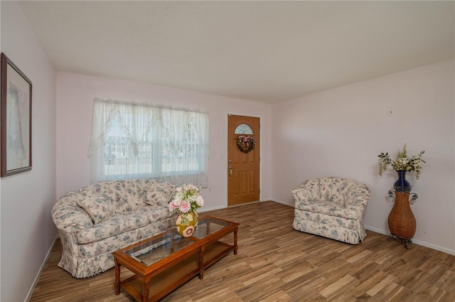 living room with light wood-type flooring