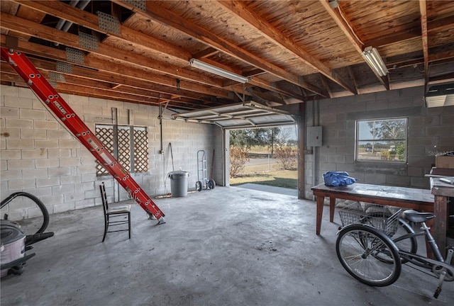 garage with electric panel