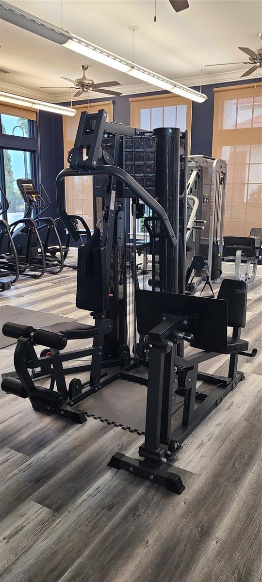 workout area featuring hardwood / wood-style floors and ceiling fan