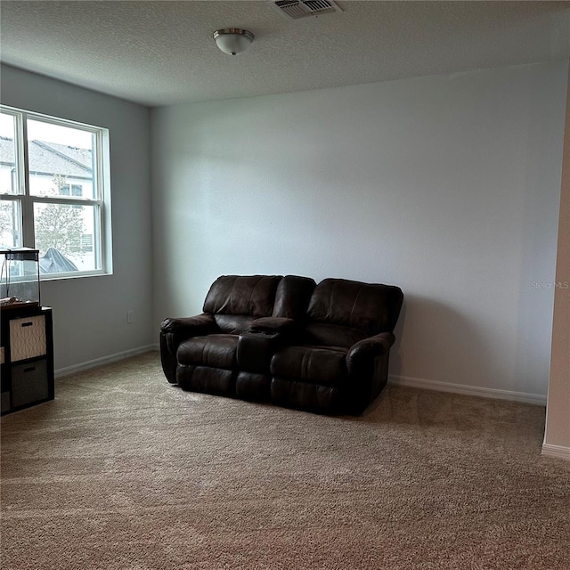 carpeted living room with a textured ceiling