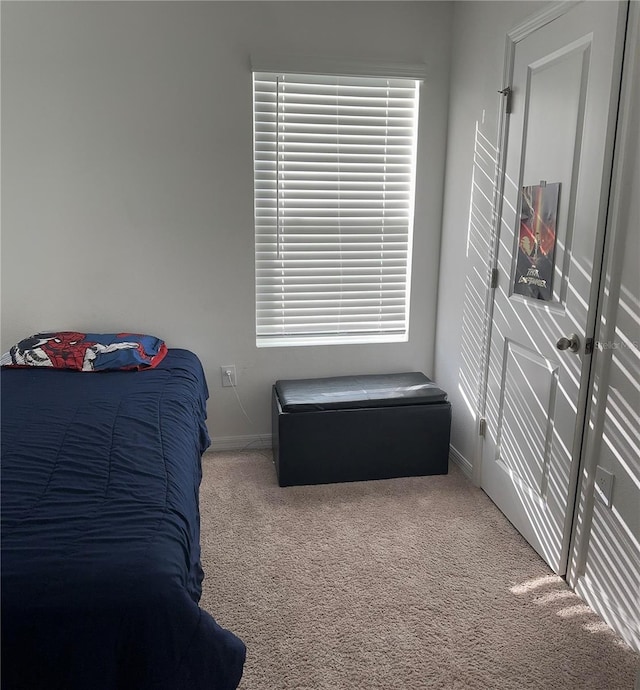 bedroom with carpet