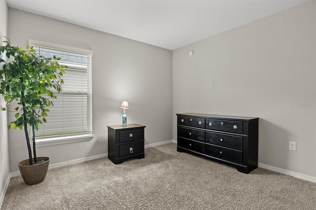 interior space featuring light carpet