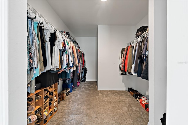 walk in closet featuring carpet floors