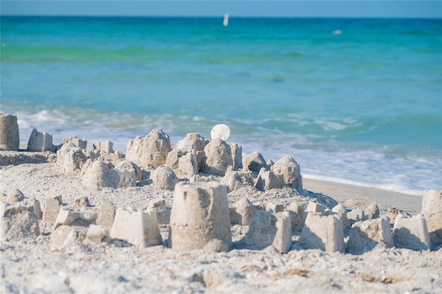 water view featuring a beach view