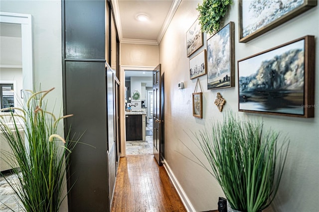 hall with dark hardwood / wood-style flooring and crown molding