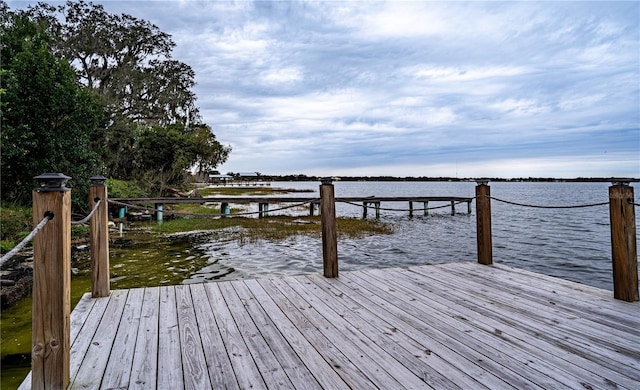 dock area with a water view