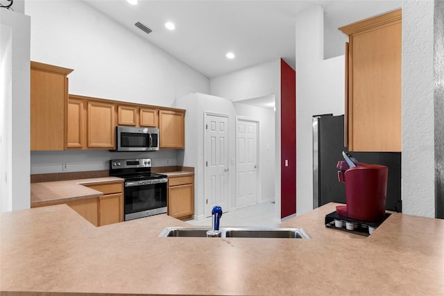 kitchen featuring stainless steel appliances, a towering ceiling, and sink