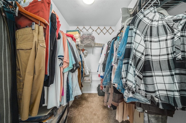 walk in closet with carpet flooring