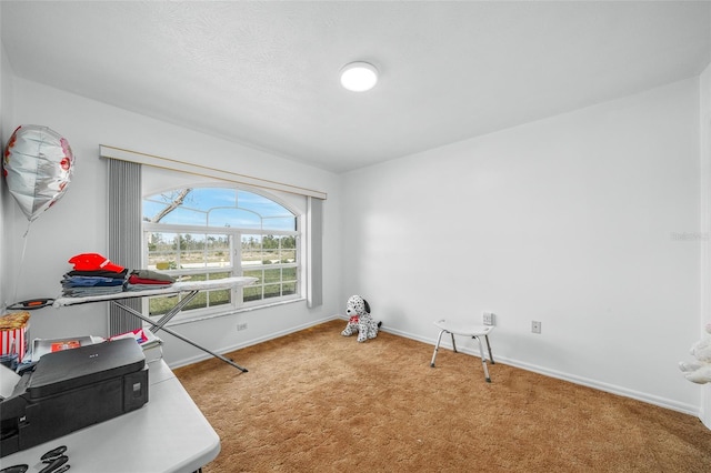 playroom with carpet floors