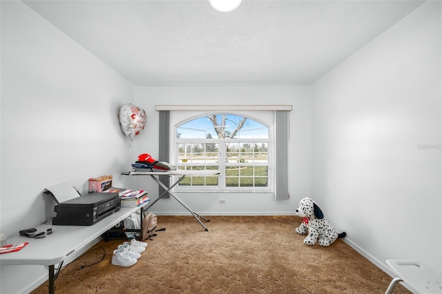 miscellaneous room with carpet flooring