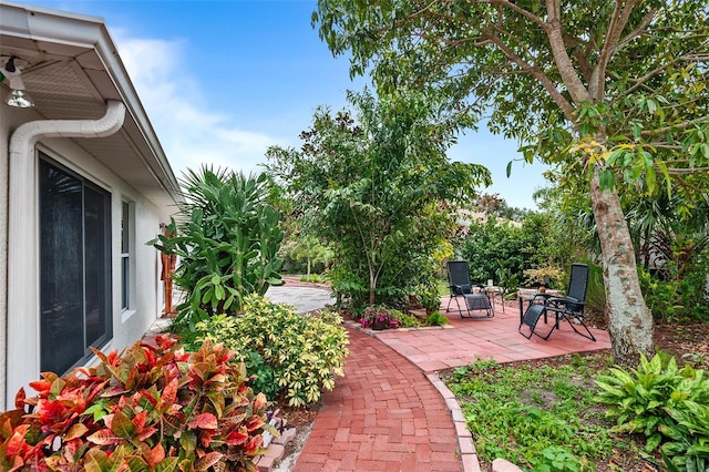 view of yard featuring a patio