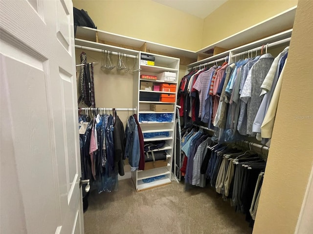 spacious closet with carpet floors